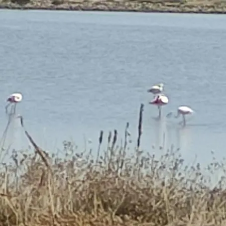 Maison De A L'ayguade Classee 3 Etoiles, Climatisee,3mn A Pied Et Restos ,5mn Aeroport, 10mn Gare Holiday home