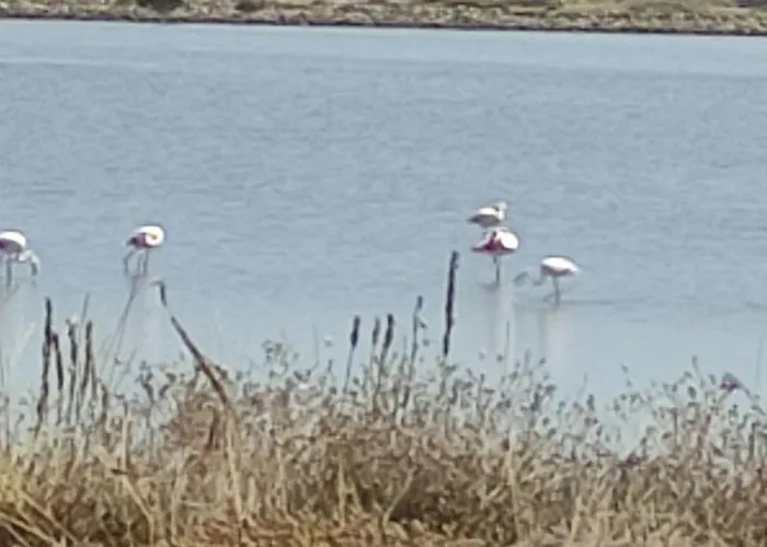 Maison De à L'ayguade Classée 3 étoiles, Climatisée,3mn à Pied Et Restos ,5mn Aéroport, 10mn Gare Casa vacanze