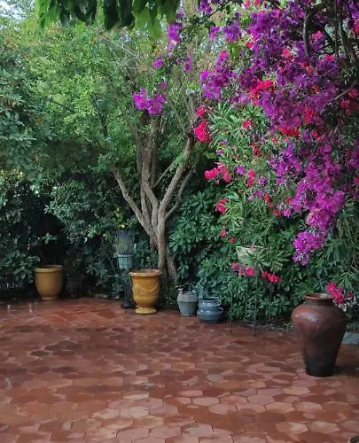 度假居 Maison De A L'ayguade Classee 3 Etoiles, Climatisee,3mn A Pied Et Restos ,5mn Aeroport, 10mn Gare